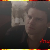 Angel_-_06