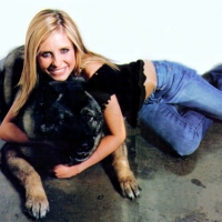 Smg__puppy_2
