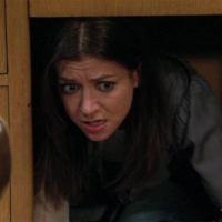 Alyson-hannigan-how-i-met-your-mother-sitcom-2x07-screencaps-gq-21