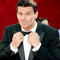 David-boreanaz
