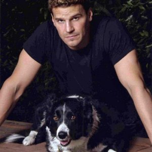 david-boreanaz-35.jpg