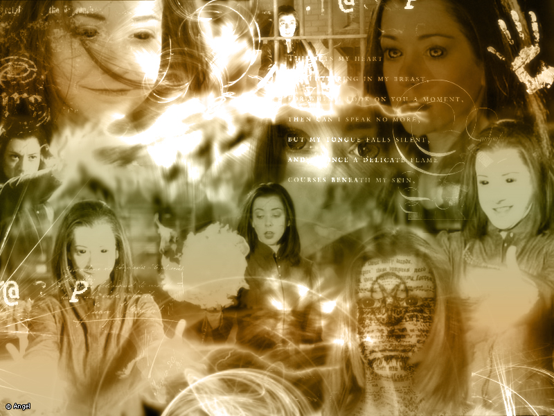 Evilwillwallpaper