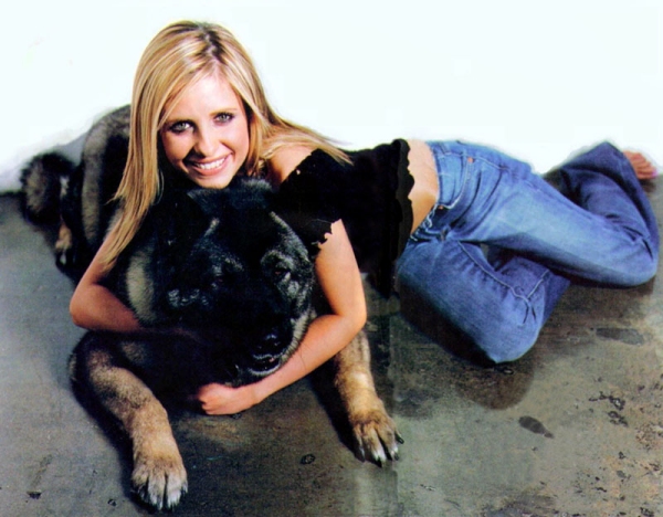 Smg__puppy_2