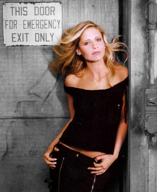 Smg_emergency_exit
